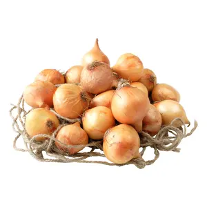 2023 new crop of brand fresh red onions and yellow onion white price per ton in China from onion seeds exporter