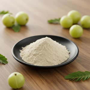 Poudre de fruit d'<span class=keywords><strong>Amla</strong></span> riche en vitamine C en gros, poudre naturelle de groseille à maquereau, poudre d'<span class=keywords><strong>Amla</strong></span> pour les cheveux - Product Image 4