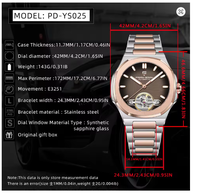 Montre mécanique tourbillon Pagani Design pour homme 2025, saphir squelette, luxe, acier inoxydable, automatique, cadeau de luxe
