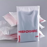 Sacs en plastique givrés résistants à la perforation avec des conceptions uniques pour les vêtements lourds