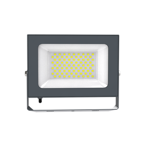 OUTLUX E009 FIREFLY spor stadyumu <span class=keywords><strong>Led</strong></span> projektör IP65 hafif 10w-200w kızılötesi sensör kapı parkları dış mekan ışıkları - Product Image 2
