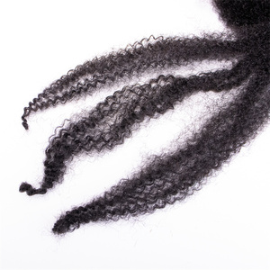 Natural Black Afro Kinky Wicks for African Braids Braiding Curly Human Hair Twisted Dreadlocks Extensions - Product Image 5