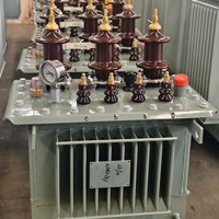 Transformador de Distribución XPLH Sumergido en Aceite 13.2kV 480V 1000kVA IEEE C57.12.00 IEEE C57.12.28 para Conexión a Red Solar