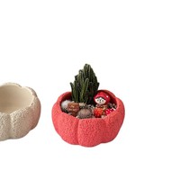 Meilleure vente transfrontalière : Pot de fleurs en céramique moderne et minimaliste en forme de citrouille pour plantes succulentes, résistant à la déformation et à la corrosion, pour la maison
