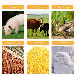 Separador <span class=keywords><strong>de</strong></span> Heces Profesional/Extrusora <span class=keywords><strong>de</strong></span> <span class=keywords><strong>Estiércol</strong></span> <span class=keywords><strong>de</strong></span> Aves <span class=keywords><strong>de</strong></span> Corral, Separador <span class=keywords><strong>de</strong></span> Sólidos y Líquidos, Secador <span class=keywords><strong>de</strong></span> <span class=keywords><strong>Estiércol</strong></span> <span class=keywords><strong>de</strong></span> Pollo, <span class=keywords><strong>Estiércol</strong></span> <span class=keywords><strong>de</strong></span> Vaca - Product Image 4