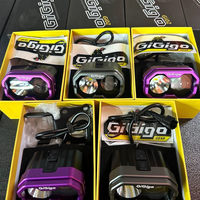 Phares modifiés GiGigo Gi02-QF adaptés à Surron Light Bee, phare avant LED, écran LED amélioré, 2 lentilles