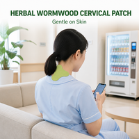 Patch Cervical Herbal Quotidien pour Soulager les Douleurs Dorsales – Doux, Marque Privée OEM, Faible MOQ, Vente en Gros, Fournisseur en Vrac, Dropshipping – Pour Femmes et Hommes