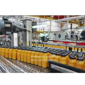 PET şişe Mango suyu üretim hattı, limon suyu yapma makinesi/lezzet içecek dolum makinası