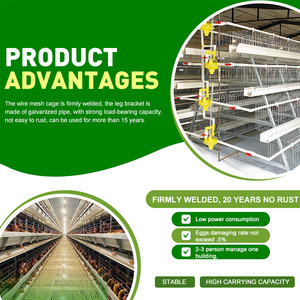 एक फ्रेम चिकन परत पिंजरे गैल्वेनाइज्ड स्टील पोल्ट्री बैटरी पिंजरे - Product Image 4