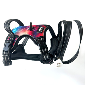 Penjualan langsung dari pabrik Logo kustom dapat diatur antilembap tahan lama tali anjing poliester untuk anjing besar dipersonalisasi tanpa tali tarik - Product Image 4