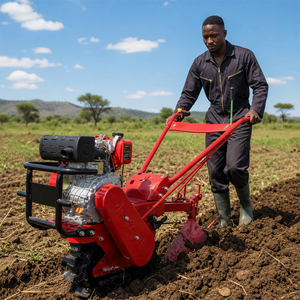 Professional Manufacturer 7HP Gasoline Powered <b>Walk</b>-behind Mini Tiller <b>Machine</b> For Garden Soil Loosening - Product Image 1