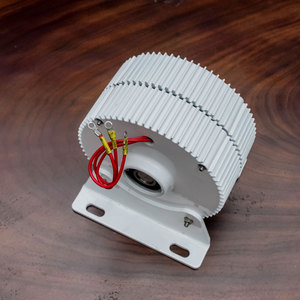Alternador Trifásico sin Engranajes de Imán de 100w 12v 24v para Generador Eólico/Hidráulico - Product Image 5