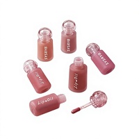 Teinte à lèvres mate minérale SYSRYB avec capuchon à bille, rouge à lèvres liquide mat velours, argile à lèvres hydratante, waterproof, longue tenue, anti-transfert