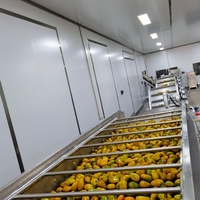 Fabrieksleverancier Sinaasappelsap Maken Machine Vruchtensap Complete Productielijn Prijs