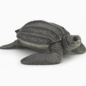 Modello Realistico di Granchio Ermita di Resina Stampato in 3D, Giocattolo di <span class=keywords><strong>Simulazione</strong></span> - Product Image 2