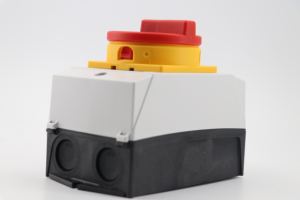 ईटन 3/4-पोल 10a एसी इलेक्ट्रिक आइसोलेटर कम वोल्टेज डबल पोल रोटरी स्विच ip65 रेटेड 230v-440v - Product Image 5