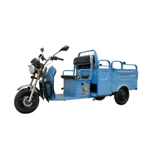 Electric Recreational Passenger Tricycle Low Speed Safe Fun Elderly Disabled Cheap