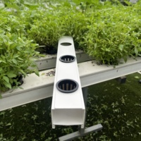 Système hydroponique NFT commercial MGS NFT Channel PVC Grow Pipe pour projets agricoles de légumes-feuilles