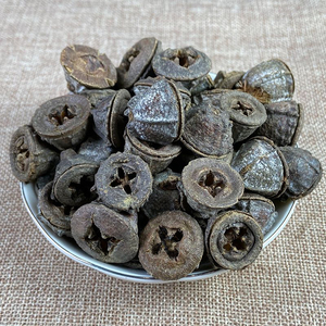 Frutos de Eucalyptus Globulus Silvestres, Secados al Sol, Tradicionales de Arabia y África, en Saco, Naturales - Product Image 2
