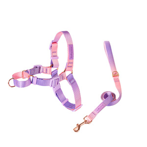 สายรัดอกสุนัขแบบปรับได้ ป้องกันการดึง พร้อมสายรัดไนลอนทนทาน - Product Image 1
