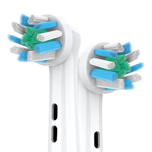 Rounded Top Soft Bristle <b>Toothbrush</b> <b>Head</b> for Adults - Product Image 3