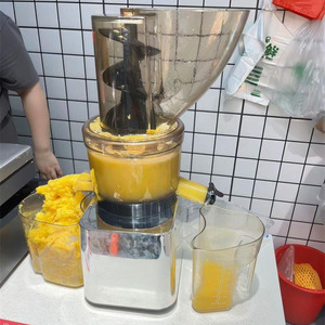 500W <b>Blender</b> for Kitchen Fruit Mixers, <b>Portable</b> Juicer Machine, Residue Separation Filter Orange Maker Stainless Steel Construct - Product Image 6