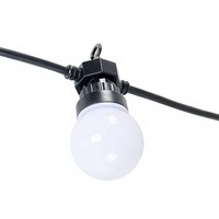 Bombilla LED Inteligente G50 con Cambio de Color RGB, IP68, para Jardín, Camino, Carpa, Decoración de Fiestas, Bajo Voltaje DC12V 1W