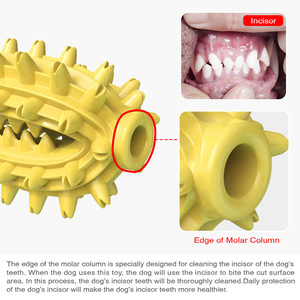 Solid Color Tpr Chewing <b>Toy</b> for Dogs Teeth Cleaning <b>Interactive</b> Squeaky Pet <b>Toy</b> Yellow and Green Design - Product Image 3