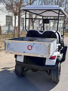 Carro de Carga, Buggy de Golf, Camioneta Eléctrica, Vehículo Utilitario de Transporte, Buggy de Golf con Certificación CE para Carreteras No Públicas - Product Image 4