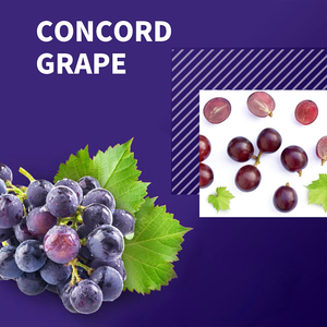 OEM a catena ramificata integratore di proteine amminoacide gestione del peso pasto marchio privato <span class=keywords><strong>BCAA</strong></span> ammino energia - Product Image 2