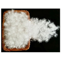 Duvet de canard ou d'oie blanc RDS de haute qualité pour homme, femme et enfant, veste et manteau fins
