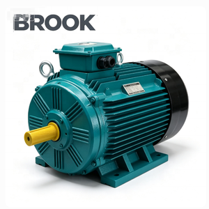 Vendre Moteur Électrique à Induction Triphasé BROOK 4kw 5.5kw 7.5kw 10kw 45kw 55kw 75kw 90kw 110kw 132kw 200kw 250kw 280kw 315kw - Product Image 4