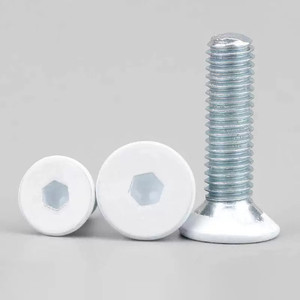 Tornillos de Cabeza Plana y Cabeza Hexagonal de Acero Inoxidable 304 Pintados de Blanco, Tornillos de Cabeza Cónica M5-M20, Métricos/En Pulgadas - Product Image 2