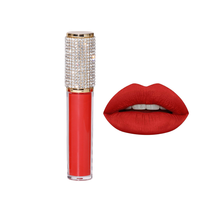 Rouge à lèvres minéral waterproof nude, personnalisable avec logo, différentes nuances, support 12 cavités, sans logo, luxe, diamant, unique, vide, pour gloss