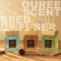 Diffuseur d'arômes haut de gamme sans flamme, grande capacité 200 ml, pour salon et maison, diffusion longue durée, parfum d'ambiance à bâtonnets.