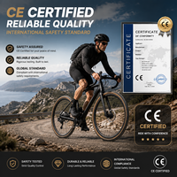 Bicicleta de Gravel de Carbono 700C WheelTop GEX 1x13 con Cambio Electrónico Inalámbrico y Frenos de Disco Hidráulicos 700x40C