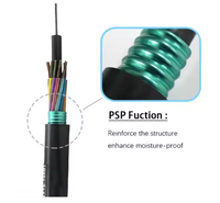 Cable de Fibra Óptica GYTS de 12, 24, 48, 96 Núcleos, G652D, Monomodo, Blindado con Acero Corrugado, para Proyectos FTTH