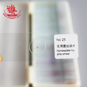 Diapositivas de laboratorio Flagellum Smear Gram Dyeing 50 Kinds Kit Hongos y células microbianas Diapositivas de biología Película Vidrio Bacterias Diapositivas preparadas - Product Image 2