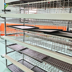 Jaulas para Pollos Tipo H, Jaula para Gallos Moderna, Gallinero Automático para Gallinas Ponedoras - Product Image 6