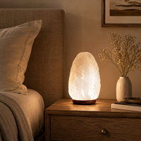 Lampe en sel rose de l'Himalaya de forme naturelle avec base en bois, variateur de lumière tactile, décoration d'ambiance pour chambre à coucher de Noël, vente en gros