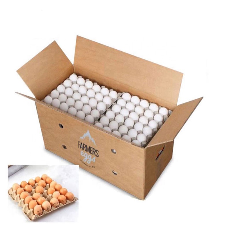 Carton Box Custom Packaging Carton Corrugated Paper Carton