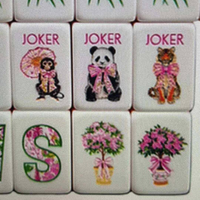 Jeu de Mahjong américain, 160 pièces, en acrylique vert, motifs animaux et floraux mignons, imperméable, jeu de luxe portable, vente en gros