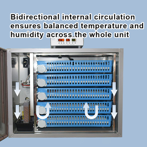 Incubadora <span class=keywords><strong>de</strong></span> <span class=keywords><strong>Huevos</strong></span> Totalmente Automática para 500 <span class=keywords><strong>Huevos</strong></span>, Nueva Versión Mejorada, Mini Incubadora, Equipo <span class=keywords><strong>de</strong></span> Incubación para Granjas - Product Image 3