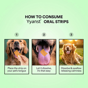 Bandelettes buccales apaisantes pour adultes et animaux de compagnie, saveur myrtille menthe, favorisant la relaxation et une meilleure absorption, support OEM/ODM, échantillon gratuit - Product Image 2