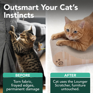 Lit grattoir en carton pour chats d'intérieur - Planche à gratter horizontale pour chats, coussin de grattage réversible - Product Image 5