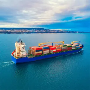 中国からオマーンサウジアラビアへの誠実で信頼性の高い物流サービスカタール海上貨物運送業者FCL LCL