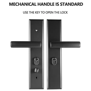 Puerta de Acero de Seguridad Antirrobo de Alta Calidad para <span class=keywords><strong>Entrada</strong></span> Principal, Puerta de Acero de Seguridad para Pared Exterior, <span class=keywords><strong>Puertas</strong></span> Blindadas para Villa - Product Image 6