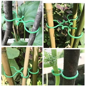 Fermagli da giardino per parete da arrampicata in Rattan con fibbia per pomodoro con gancio supporto per piante - Product Image 5