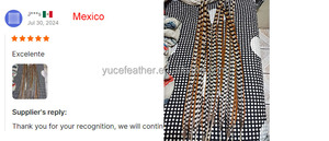 Nhà Máy nhuộm tẩy trắng 50-55 cm dài chim trĩ đuôi lông nguyên mô hình lớn Reeves xinyuling thương hiệu <span class=keywords><strong>100</strong></span> cái/gói trang trí - Product Image 5