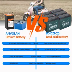 Customized Electric Moped Tricycle Lithium Battery 48V 60Ah Lifepo4 Electric Car Battery